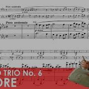 Piano Trio No 6 In E Flat Op 70 No 2 Ii Allegretto