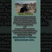 Кабр Устида Укиладиган Дуо