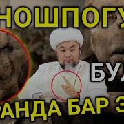 Дуйнодогу Эн Жаман Кызы