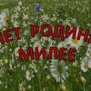 Нет Родины Милей