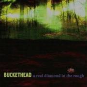 Buckethead Broken Mirror Backing Track