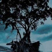Shining Burning