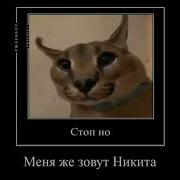 Мама Кто Такой Пабло