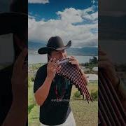 Адамдык Сапатын Арттырып Жашагын