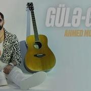 Ahmed Mustafayev Gülə Gülə 2025
