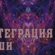 Интеграция Души Сэл Рейчел