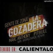 La Gozadera Remix