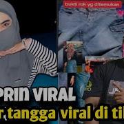 Ular Tangga Viral Tiktok