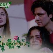 Wildflower Diego Saves Lily Ep 250