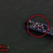 Lagi Enak Kuda Kudaan Terekam Drone Kejadian Mengejutkan Yang Tak