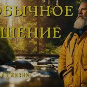 Необычное Решения Людмила Шторк
