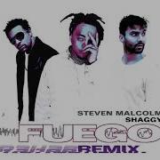 Shaggy Fuego R3Hab Remix