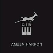 Ameen Harron