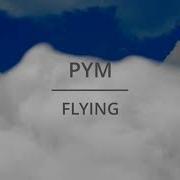 Pym Flying Original Mix