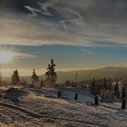 Заварен Круто Дымный Чай