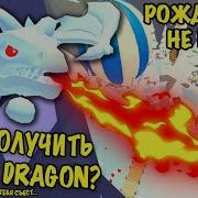 Рождества В Адопт Ми Не Будет Где Достать Frost Dragon In Adopt Me
