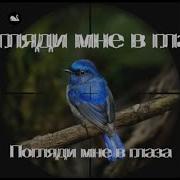 Лесоповал Погляди Мне В Глаза