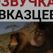 Кавказский Мадагаскар Прикол