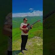 Elbeyi Gitara