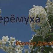 Виктор Давидзон Черемуха