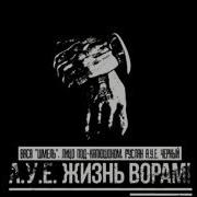 Вася Шмель Ауе Жизнь Ворам