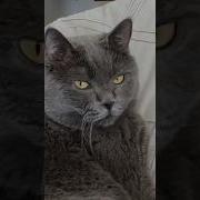 Вам Что То Подсказать Мем