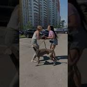 Нам Страшно За Джонни 3 Часть