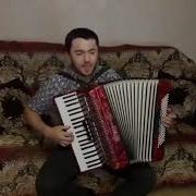 Шамиль Ханакаев На Гармошке