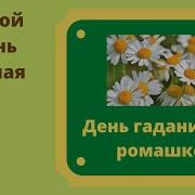 Гадание На Ромашке