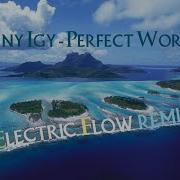 Tony Igy Perfect World Electric Flow Remix