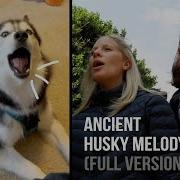 The Kiffness X Haiku The Husky Ancient Husky Melody Full Version