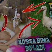Tushda Laylak Ko Rsa Nima Bo Ladi Тушда Лайлак Курса Нима Булади Туш Табири