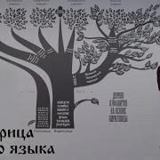 И Вышин Матрица Изучения Современного Русского Языка