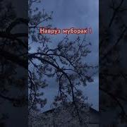 Сухан Дар Бораи Навруз