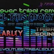 Pitbull Ft Cristina Aguilera Feel This Moment Cover Tribal Remix Dj