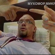 Владимир Епифанцев Мухоморы И Либидо