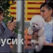 Бубусик Уральские Пельмени