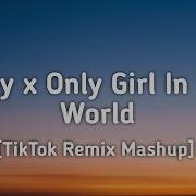 Pony X Only Girl In The World Tiktok Remix Mashup