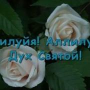 Алилуйя Алилуйя Ты Наш Бог