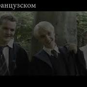 Заткнись Малфой На Разных Языках