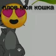 Привет Извини Что Не Отвечала