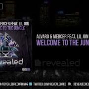 Alvaro Welcome To The Jungle Feat Lil Jon