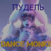 Пудель Dance Monkey Маска 4 Сезон 1 Выпуск
