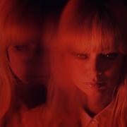 Petals Chromatics