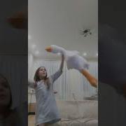 Ооо Давай Ты Будешь Рататуй