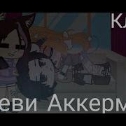 Леви Аккерман Jerry