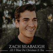 Zach Seabaugh All I Want