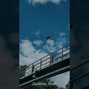 Душа Как Птица В Небо Улетит