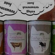 Собаки Дружат С Кошками Закупыч