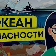 Экологические Проблемы Мирового Океана